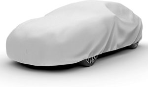 Budge Lite Indoor car cover